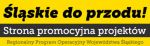Cieszyn kontra Częstochowa - Turniej Europejski „Śląskie do przodu”